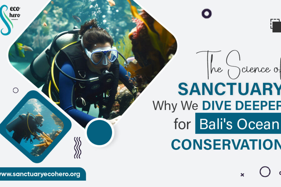 The Science of Sanctuary: Why We Dive Deeper for Bali's Ocean Conservation