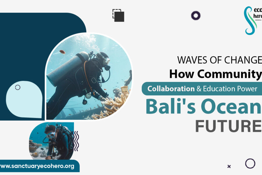 Waves of Change: How Community Collaboration & Education Power Bali's Ocean Future