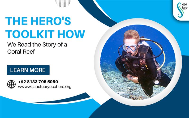 The Hero's Toolkit: How We Read the Story of a Coral Reef
